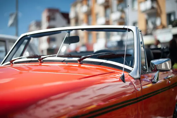 Casino Slotilda World Android/iOS Forrit